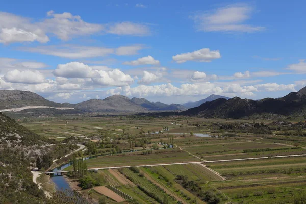 Weinberge Fluss Frühling — Stockfoto