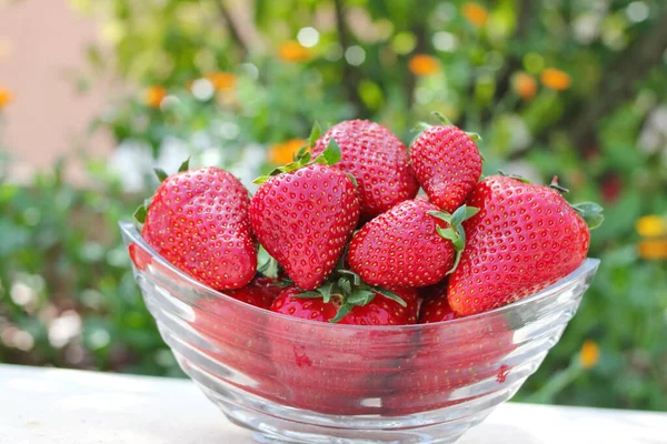 在一个碗里的新鲜红草莓 — 图库照片