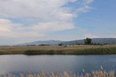 Hırvatistan 'ın güneyinde nehir manzarası
