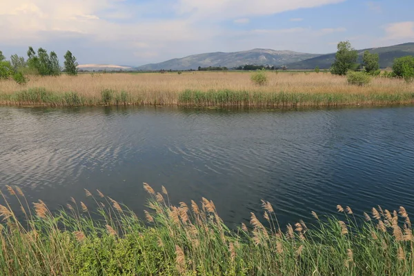 Hırvatistan 'ın güneyinde nehir manzarası