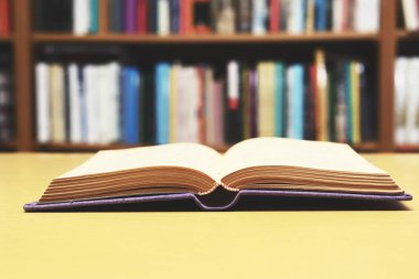 Masada okumak için açılan ünlü bir yazarın romanı.