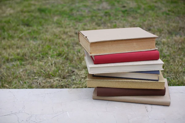 Books on the wall in front of the school