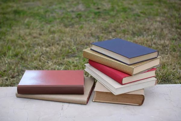 Books on the wall in front of the school