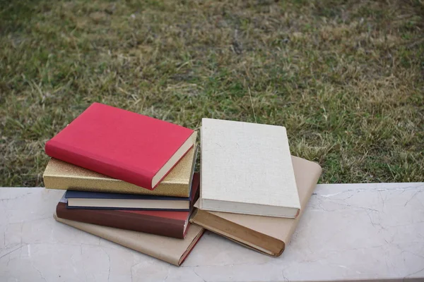 Books on the wall in front of the school