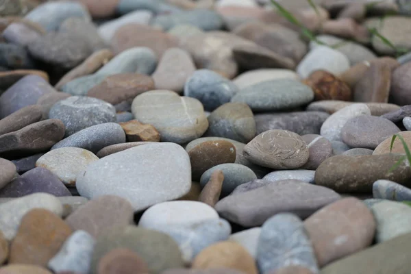 Piedras Playa Junto Mar —  Fotos de Stock