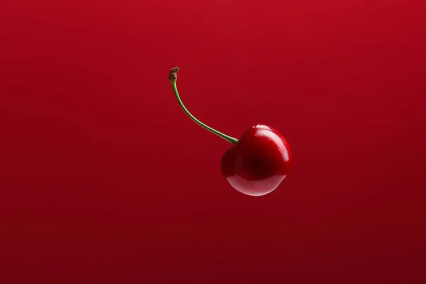 Closeup of a single ripe fresh red cherry with stem, isolated on red background.