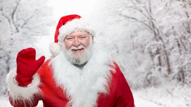 Bulanık bir ormanda izole edilmiş mutlu Noel Baba. Stüdyo fotoğrafı. Yatay görünüm.