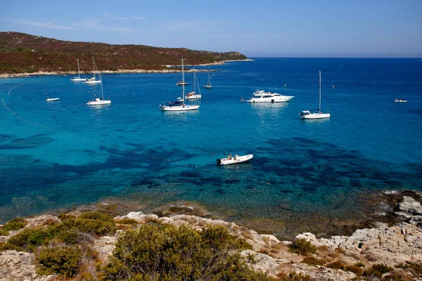 Hermosa Imagen Naturaleza Isla Córcega Francia Montañas Fondo Marino — Foto de Stock