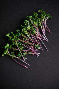 Siyah arkaplana yerleştirilmiş turp mikro yeşillik iplikleri. Üst görünüm.