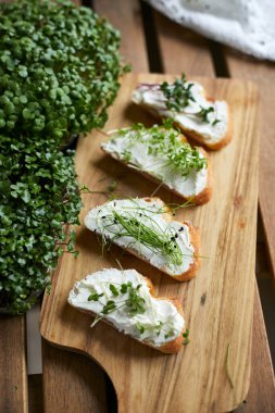 Mikro yeşilliklerle çeşitli peynirli sandviçler. Süper yemek konsepti.