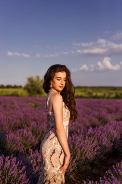 Lavanta tarlasında uzun saçlı güzel bir kızın yaz portresi. Gün batımı. Dikey görünüm.