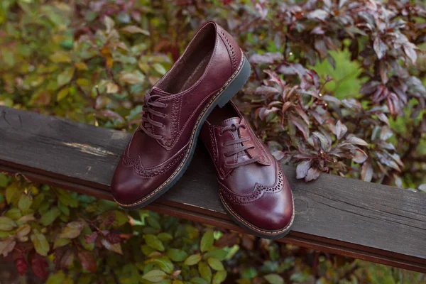 Men\'s Classic brown Leather Shoes arranged outside on a wooden plank, in garden. Horizontal view.