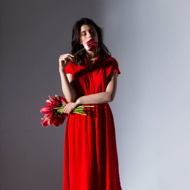 Kırmızı elbiseli çekici esmer bir kadının ön yüzü kırmızı lale demeti ve kokularla dolu, izole gri bir arka planda..