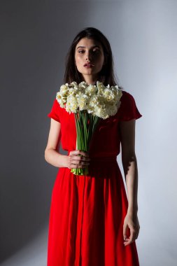 Elinde bir buket nergis tutan kırmızı elbiseli çekici bir genç kadın, izole edilmiş gri bir arkaplan..