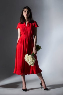 Kırmızı elbiseli, elinde bir buket nergis olan esmer bir kadının tam boy görüntüsü. Kameraya bakıyor, izole edilmiş gri arka plan..