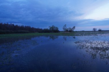 Gün batımından sonra Biebrza 'da bahar selleri, Suyun üzerinde Nisan alacakaranlığı