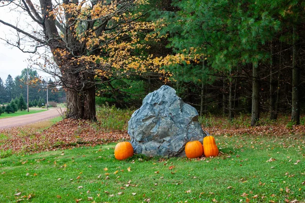Dynie Kamienne Dekoracje Przy Wiejskiej Drodze Wisconsin Październiku Poziome — Zdjęcie stockowe
