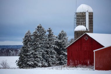 Wisconsin 'in yanındaki eski kırmızı ahır ve silolar, karla kaplı orman, yatay