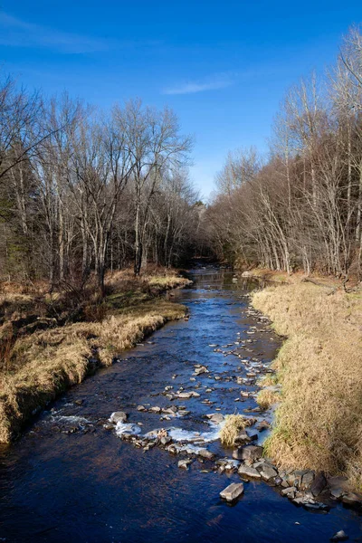 Rzeka Eau Claire Centrum Wisconsin Zaczyna Zamarzać Spokojny Listopadowy Dzień — Zdjęcie stockowe