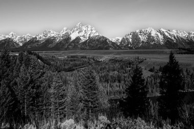 Snake River Overlook Grand Tetons Ulusal Parkı, Wyoming, ABD, B & W, yatay