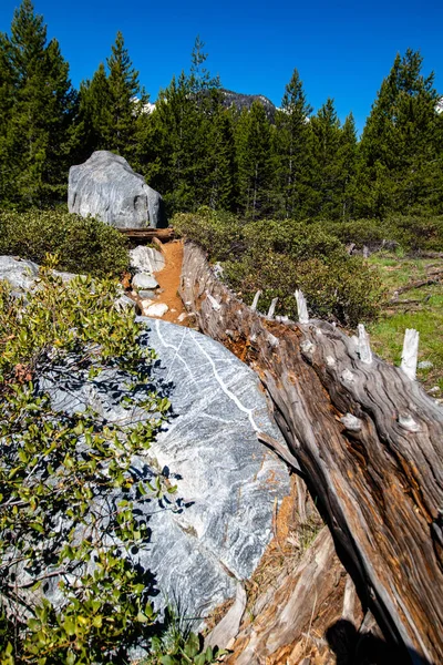 Metamorphic gneiss rock in the Grand Teton Range, Wyoming are some of the oldest rock in North America, vertical
