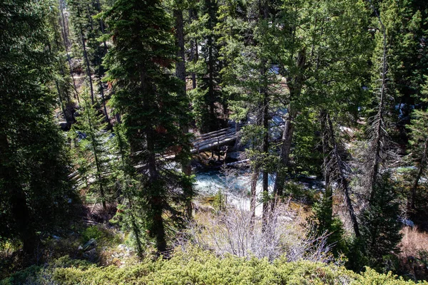 Γέφυρα Στο Jenny Lake Trail Στο Δρόμο Για Σημείο Έμπνευσης — Φωτογραφία Αρχείου