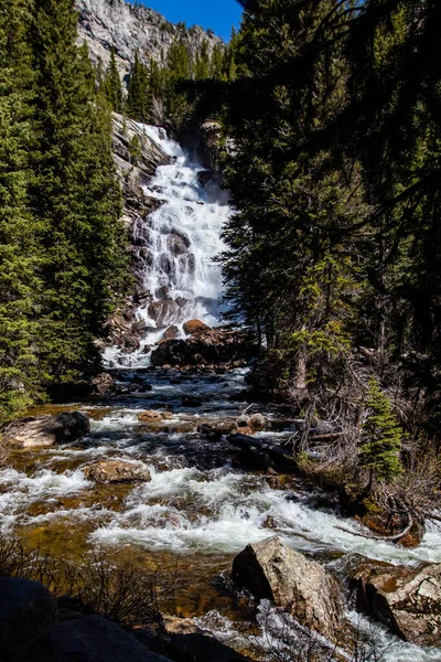 Hidden Falls Cascade Creek Grand Teton National Park Jackson Hole — стокове фото