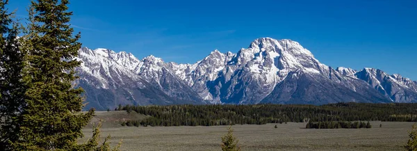 Grand Teton National Park Wyoming Usa Med Blå Himmel Nära — Stockfoto