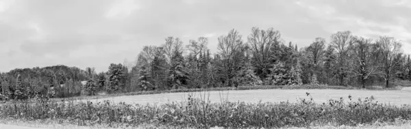 Las Wisconsin Pola Uprawne Pokryte Śniegiem Panorama — Zdjęcie stockowe