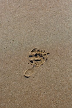 Oregon 'da bir kumsalda çıplak ayak izi. Kopya alanı, dikey.