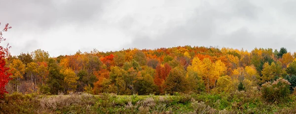 Wisconsin Colorful Autumn Leaves Cloudy Skies October Panorama — Stock Photo, Image