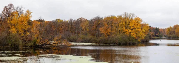 Rivière Wisconsin Wausau Wisconsin Avec Des Feuilles Automne Colorées Octobre — Photo