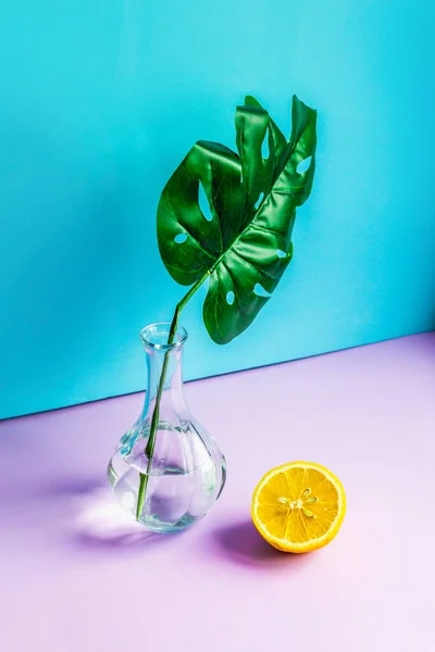 Una Hoja Monstera Jarrón Cristal Con Agua Medio Limón Lado — Foto de Stock