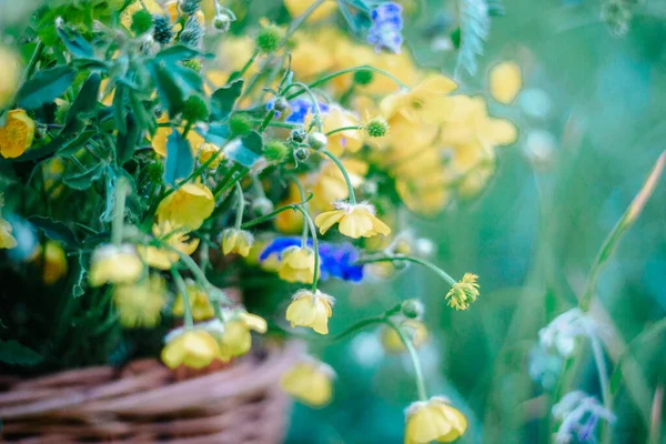 Gelbe Blaue Wildblumen Einem Hölzernen Weidenkorb Ein Korb Mit Frischen — Stockfoto