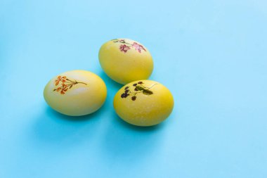 Parlak mavi bir arka planda bitkisel yumurta desenli sarı uzanır. Paskalya için boyanmış yumurta..