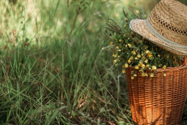 Hasır sepette bir buket sarı-mavi kır çiçeği ve tarlada hasır şapka. kopyalama alanı. seçici odak.