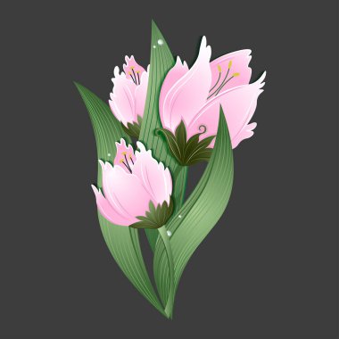 Yapraklı üç soluk pembe lale buketi. izole vektör illüstrasyonu