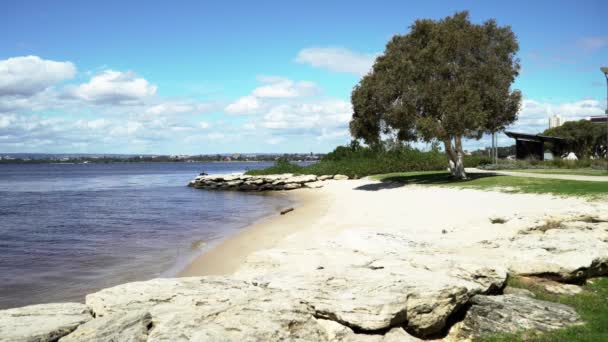Una Vista Orilla Sur Perth Con Árbol Tronco — Vídeo de stock