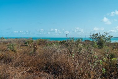 Batı Avustralya, Broome 'da Ganthaeume noktası