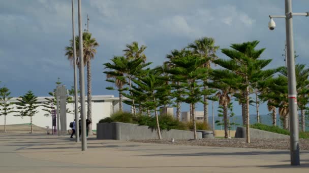 Tall Trees People Walking Plaza Scarborough Beach — ストック動画