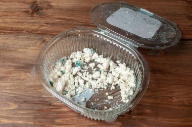 Kase içinde bir süzme peynirin üzerinde yeşil mavi küf.