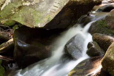 Kayaların etrafında çağlayarak akan akarsu