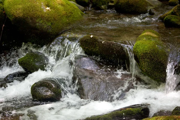 Water Cascading Moss Covered Rocks — Stock Photo, Image