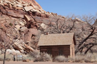 Rustic Log Cabin  in the Southwest