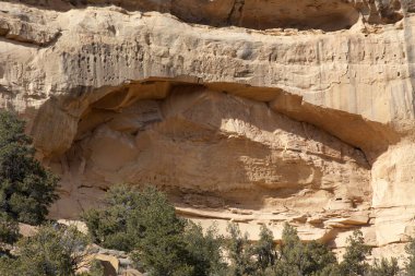 Landscape from the Southwest USA