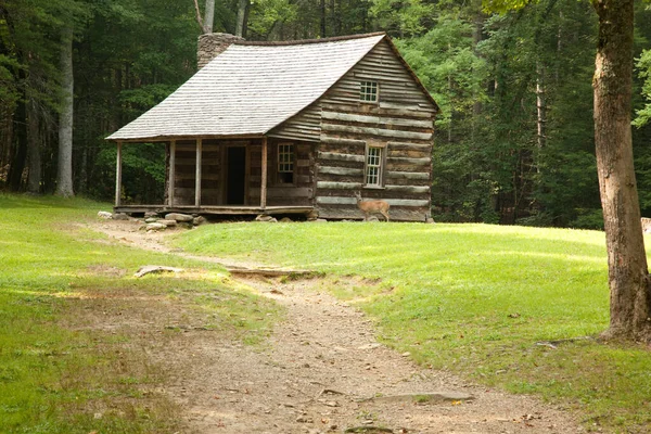 Ancienne Cabane Rondins Dans Les Bois — Photo