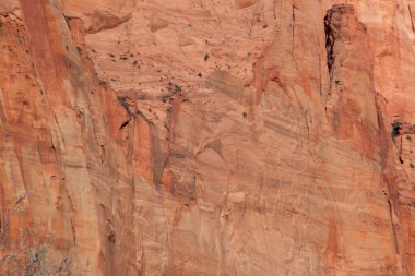 Red Rocks in the sunshine