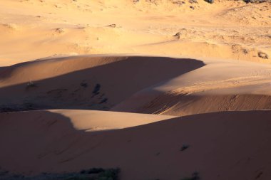 Sand dunes from the southwest