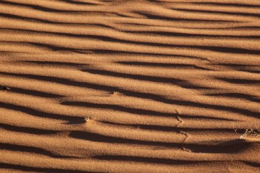Sand dunes from the southwest