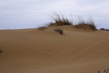 Sand dunes from the southwest